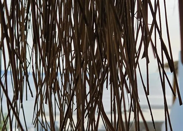 Elli Tropical Luxury Sunset-infinity Pool- Sea Side-near Center Parking Lejlighedshotel Mykonos Town