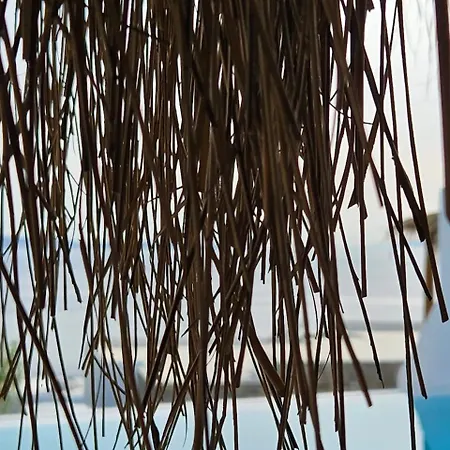 Elli Tropical Luxury Sunset-infinity Pool- Sea Side-near Center Parking Appart hôtel Mykonos Town