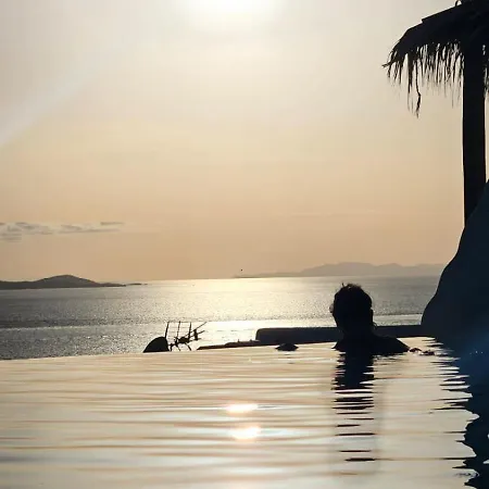 Elli Tropical Luxury Sunset-infinity Pool- Sea Side-near Center Parking Mykonos Town
