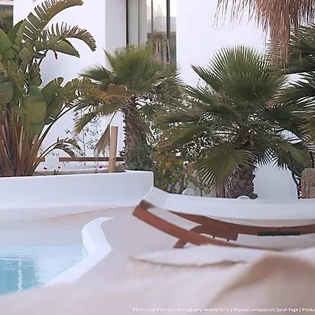 Elli Tropical Luxury Sunset-infinity Pool- Sea Side-near Center Parking Mykonos Town