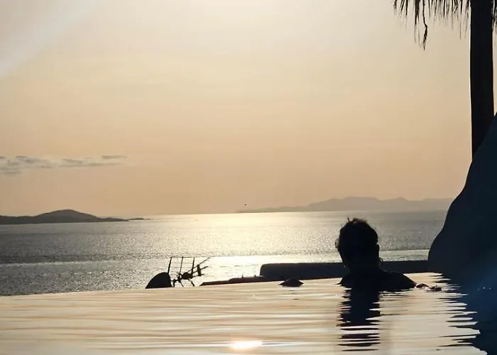 Elli Tropical Luxury Sunset-infinity Pool- Sea Side-near Center Parking Mykonos Town