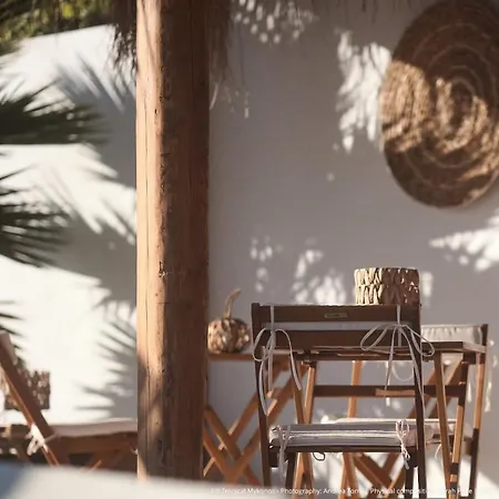 Aparthotel Elli Tropical Luxury Sunset-infinity Pool- Sea Side-near Center Parking Mykonos Town