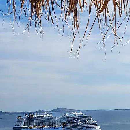 מלון דירות Elli Tropical Luxury Sunset-infinity Pool- Sea Side-near Center Parking Mykonos Town
