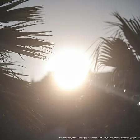 Elli Tropical Luxury Sunset-infinity Pool- Sea Side-near Center Parking מלון דירות *